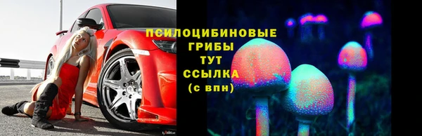 винт Баксан