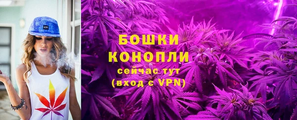 дмт Сосновый Бор
