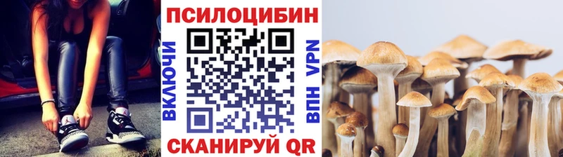 ОМГ ОМГ зеркало Куровское Галлюциногенные грибы GOLDEN TEACHER